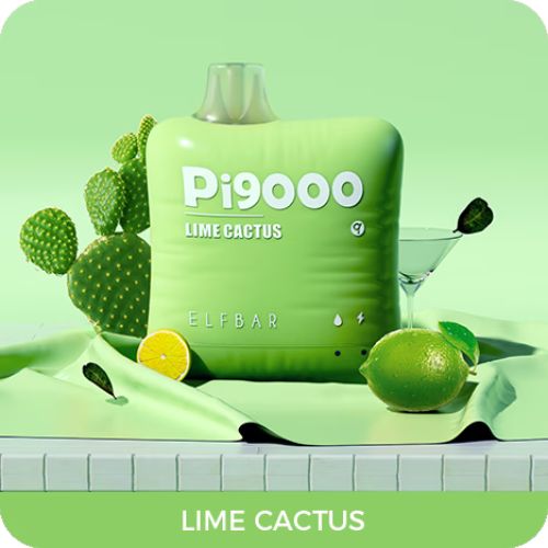 elfbar pi9000 disposable vape lime cactus 9000 puffs