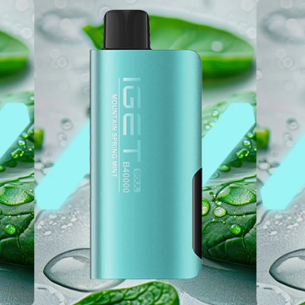 Iget vape B40000 Mountain Spring Mint on sale at Vapebro India
