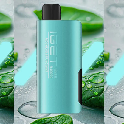 Iget vape B40000 Mountain Spring Mint on sale at Vapebro India