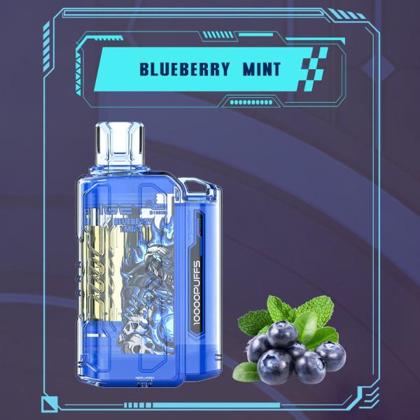 IGET FLARE B10000 DISPOSABLE VAPE 10000 PUFFS - BLUEBERRY MINT - VapeBro